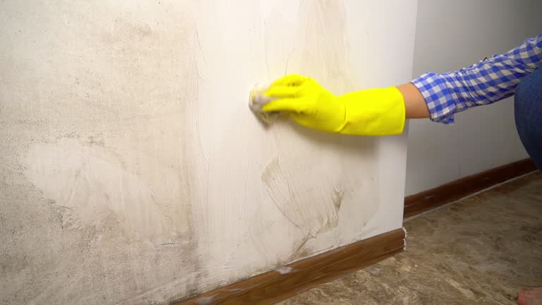 Biohazard Mold Removal in Crompond, NY