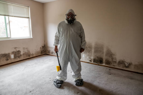Forensic Mold Investigation in Crompond, NY