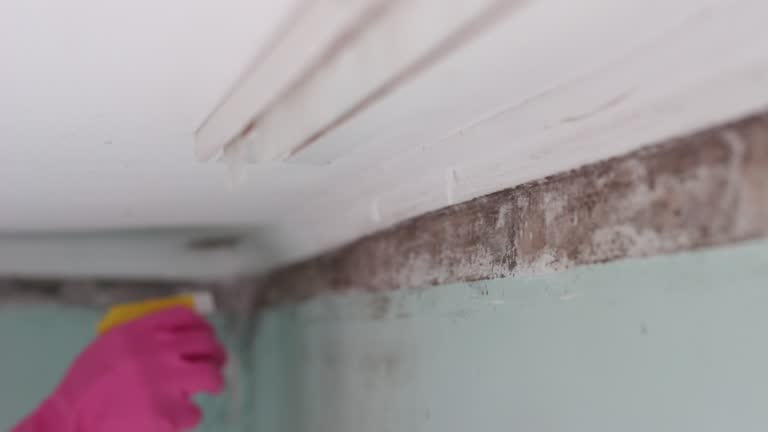 Best Air Quality Testing for Mold Spores  in Crompond, NY